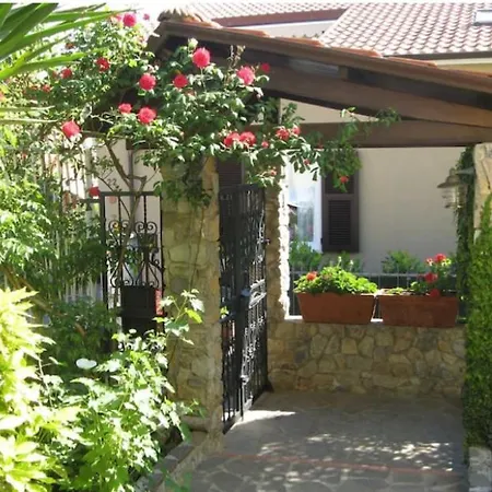 Bed and breakfast L'olivo