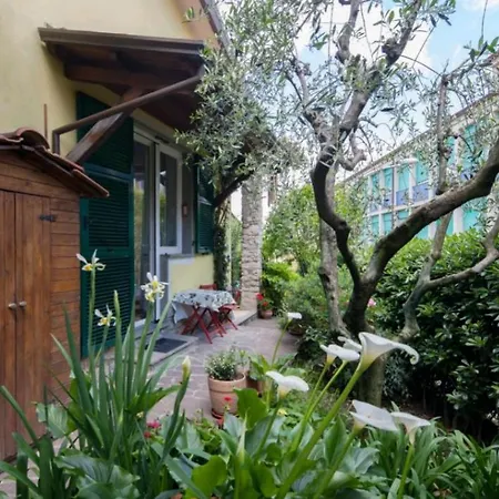 L'olivo 住宿加早餐酒店 3*