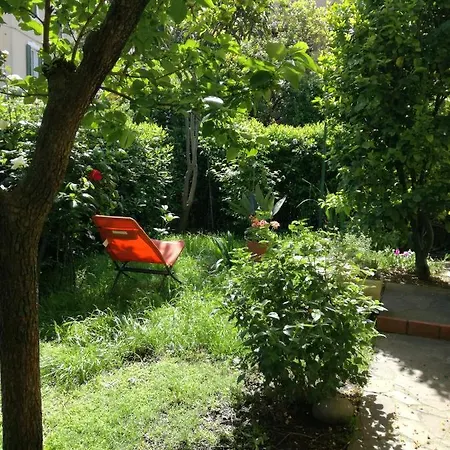 L'olivo לינה וארוחת בוקר 3*