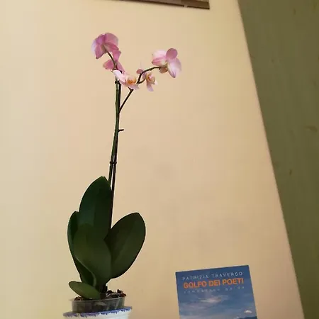 L'olivo 3* לה ספציה