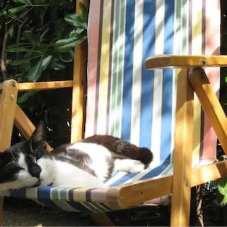 L'olivo לינה וארוחת בוקר