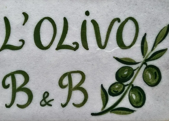 L'olivo 3*