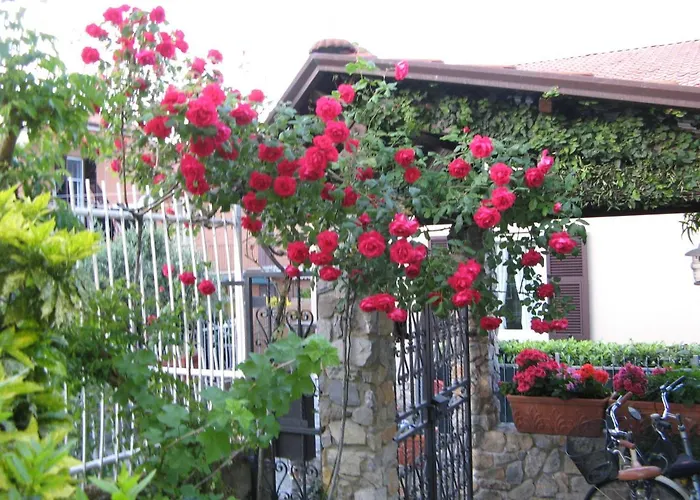 L'olivo 3* La Spezia