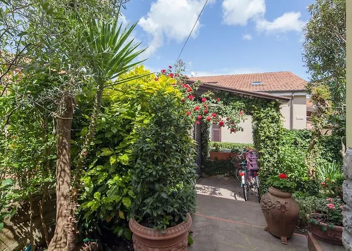 Bed & Breakfast L'olivo