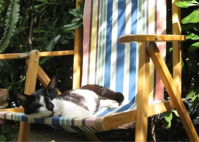 L'olivo Bed & Breakfast