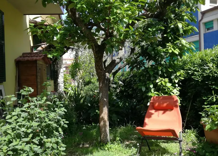 Bed & Breakfast L'olivo La Spezia